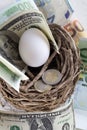 White egg and dollars and euros in real nest