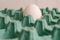 A white egg in an empty green egg carton in a macro side view Royalty Free Stock Photo