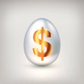 White egg with golden dollar symbol. The concept of financial success of business or wealth, profitable investments, venture Royalty Free Stock Photo