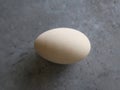 White egg of a goose laying on a gray zink table