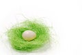 White egg in a green nest Royalty Free Stock Photo