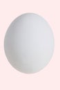 White egg isolate on pink pastel background. Happy Easter concept Royalty Free Stock Photo