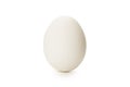 White Egg Isolated On Pure White