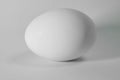 White Egg on a Plain Background Royalty Free Stock Photo