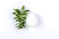 A white egg with sprigs of green grass on a white background. Farm eggs, natural feed