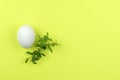 A white egg with sprigs of green grass on a yellow background.