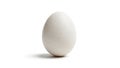 Egg stands upright against a plain white background. The shell Royalty Free Stock Photo