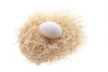 White Egg on Straw Nest