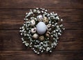 White egg surrounded with quial eggs in nest of gypsophila flowers