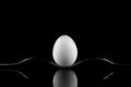 White Egg between Two Forks on a reflective surface on black background. Royalty Free Stock Photo