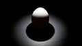 White egg under spotlight on dark stone. Royalty Free Stock Photo