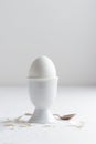 White egg on white eggstand holder Royalty Free Stock Photo