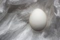 White egg on the White texture background