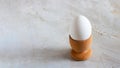 White egg in wooden egg cup on grey cement textured background, Horizontal banner, Copy space, Breakfast Royalty Free Stock Photo