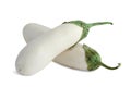 White eggplant Royalty Free Stock Photo