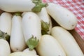 White Eggplant Royalty Free Stock Photo