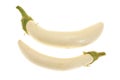 White Eggplants Royalty Free Stock Photo