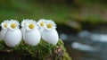Easter Eggs Decorated with Daisies on Mossy Log by River Royalty Free Stock Photo