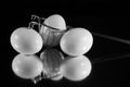 White eggs on a black background.