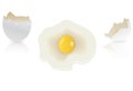 White eggs and broken egg shells