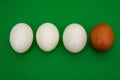 White eggs, brown egg, green background, eggs, food Royalty Free Stock Photo