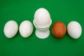 White eggs, brown egg, green background, green, background Royalty Free Stock Photo