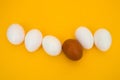 White egg, brown egg, yellow background, flat lay, egg Royalty Free Stock Photo