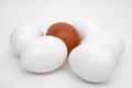 White eggs, brown egg, background Royalty Free Stock Photo