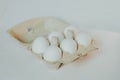 6 white eggs in a cardboard box Royalty Free Stock Photo