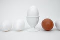 White eggs, cup, brown egg, contrast, symbol, white Royalty Free Stock Photo