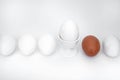 White eggs, cup,, brown egg, egg Royalty Free Stock Photo