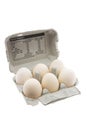 White Eggs on Egg Carton Royalty Free Stock Photo