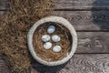 White eggs lays in the knitted white pottle with dry hay inside on the wooden aged board