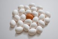 Among the white eggs, one egg with a brown shell on a light background Royalty Free Stock Photo