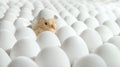 White eggs and one egg hatches Royalty Free Stock Photo