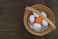 White eggs and one orange colored egg in a basket