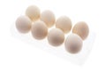 White Eggs in Plastic Egg Carton Royalty Free Stock Photo