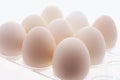 White Eggs on Plastic Egg Carton Royalty Free Stock Photo