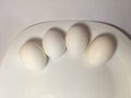 White eggs on a white plate on a white background. The birth of life. 4 Chicken eggs Royalty Free Stock Photo