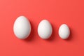 White eggs on red background aligned from big to small