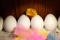 White eggs in a row with a tiny chicken decoration on top of the eggs in the middle. Pastel feathers in foreground