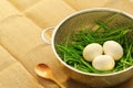 White eggs in a nest of green onions in a metal colander
