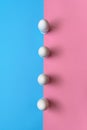 White eggs standing on egg cup on blue and pink pastel background, copy space. Row of boiled eggs in stand on paper background Royalty Free Stock Photo