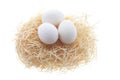 White Eggs on Straw Nest