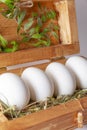 White eggs on straw in a wooden box