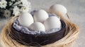 White eggs in wooden bowl on white background, selective focuse Royalty Free Stock Photo