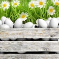 White eggs in wooden container with flowers Royalty Free Stock Photo