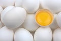White eggs and yolk Royalty Free Stock Photo