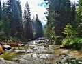 The White Elbe in the Giant Mountains, the first major tributary of the Elbe.