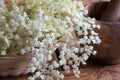 White elder flowers on a wooden background